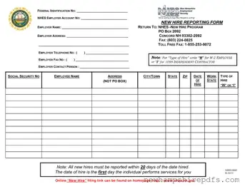 Download New Hampshire Reporting Template in PDF